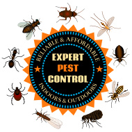 Pest Control Frankfort